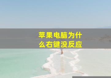 苹果电脑为什么右键没反应