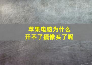 苹果电脑为什么开不了摄像头了呢