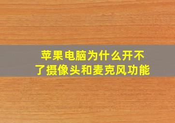 苹果电脑为什么开不了摄像头和麦克风功能