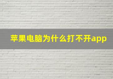 苹果电脑为什么打不开app