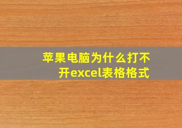 苹果电脑为什么打不开excel表格格式