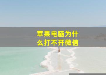 苹果电脑为什么打不开微信