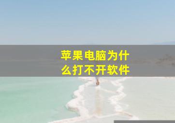 苹果电脑为什么打不开软件