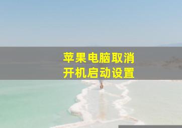 苹果电脑取消开机启动设置