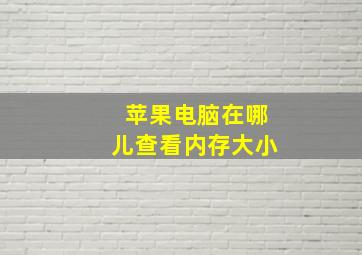 苹果电脑在哪儿查看内存大小