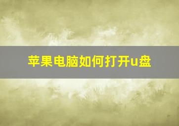 苹果电脑如何打开u盘