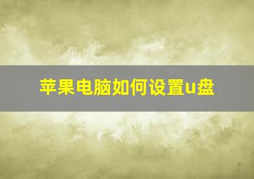 苹果电脑如何设置u盘