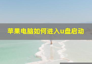 苹果电脑如何进入u盘启动