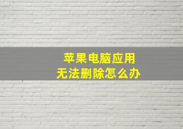 苹果电脑应用无法删除怎么办