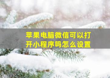 苹果电脑微信可以打开小程序吗怎么设置