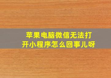 苹果电脑微信无法打开小程序怎么回事儿呀