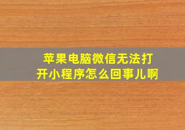 苹果电脑微信无法打开小程序怎么回事儿啊