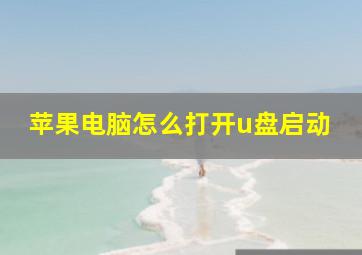 苹果电脑怎么打开u盘启动