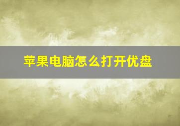 苹果电脑怎么打开优盘