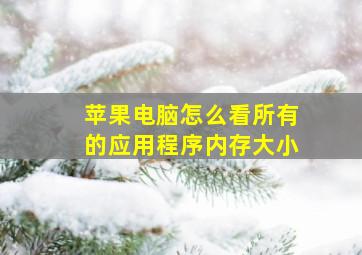 苹果电脑怎么看所有的应用程序内存大小