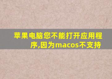 苹果电脑您不能打开应用程序,因为macos不支持