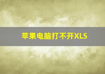 苹果电脑打不开XLS