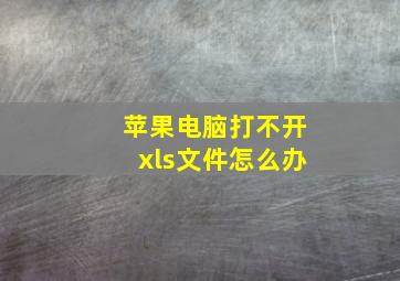 苹果电脑打不开xls文件怎么办