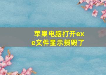 苹果电脑打开exe文件显示损毁了