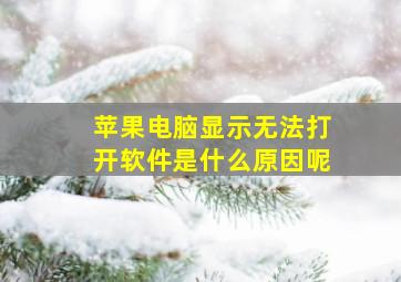 苹果电脑显示无法打开软件是什么原因呢