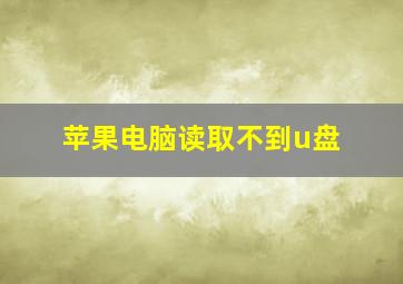 苹果电脑读取不到u盘