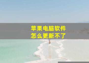 苹果电脑软件怎么更新不了