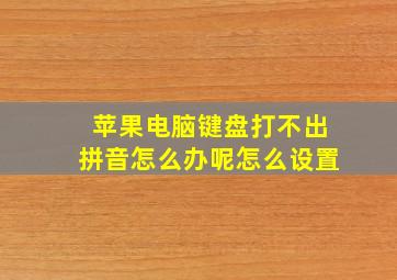 苹果电脑键盘打不出拼音怎么办呢怎么设置