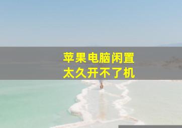 苹果电脑闲置太久开不了机