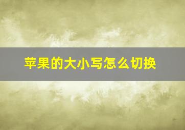 苹果的大小写怎么切换