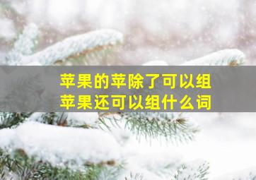 苹果的苹除了可以组苹果还可以组什么词