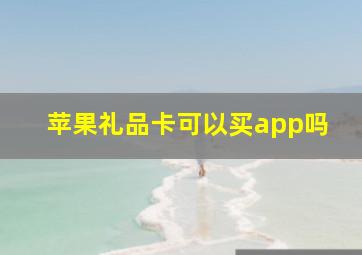 苹果礼品卡可以买app吗