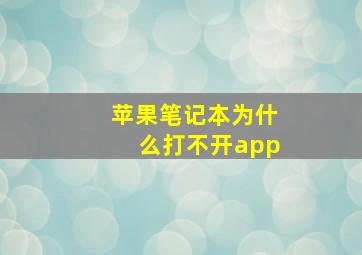 苹果笔记本为什么打不开app