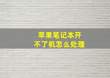 苹果笔记本开不了机怎么处理