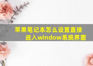 苹果笔记本怎么设置直接进入window系统界面