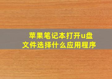 苹果笔记本打开u盘文件选择什么应用程序