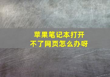 苹果笔记本打开不了网页怎么办呀