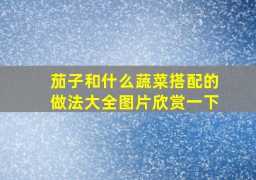 茄子和什么蔬菜搭配的做法大全图片欣赏一下