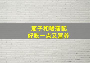 茄子和啥搭配好吃一点又营养