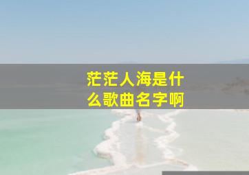 茫茫人海是什么歌曲名字啊