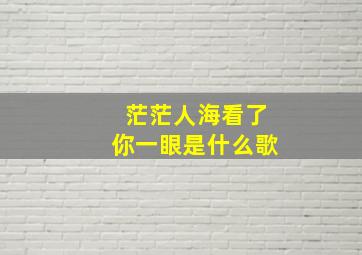 茫茫人海看了你一眼是什么歌