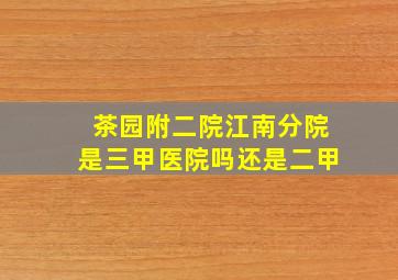 茶园附二院江南分院是三甲医院吗还是二甲