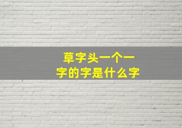 草字头一个一字的字是什么字