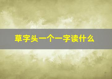 草字头一个一字读什么