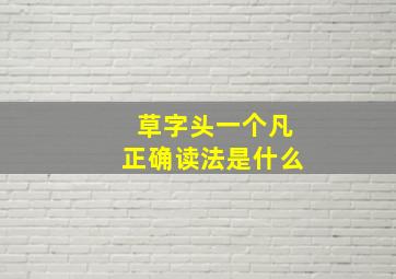 草字头一个凡正确读法是什么