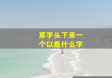 草字头下来一个以是什么字