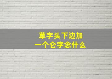 草字头下边加一个仑字念什么