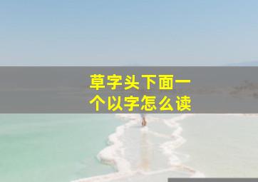 草字头下面一个以字怎么读