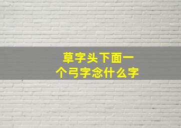 草字头下面一个弓字念什么字