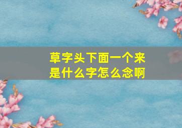 草字头下面一个来是什么字怎么念啊