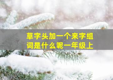 草字头加一个来字组词是什么呢一年级上